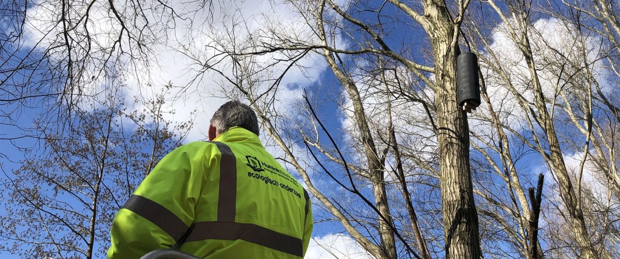Vleermuiskasten in strijd tegen eikenprocessierups