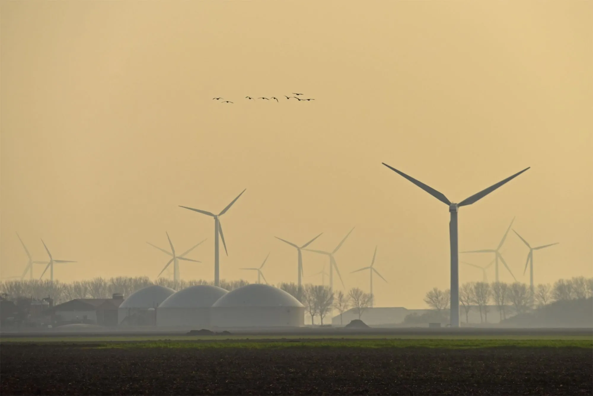 Windpark Zeewolde