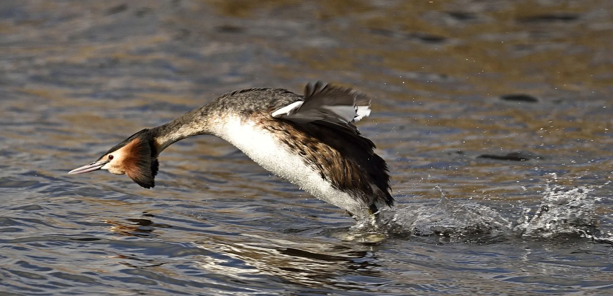 Voorjaar in de startblokken