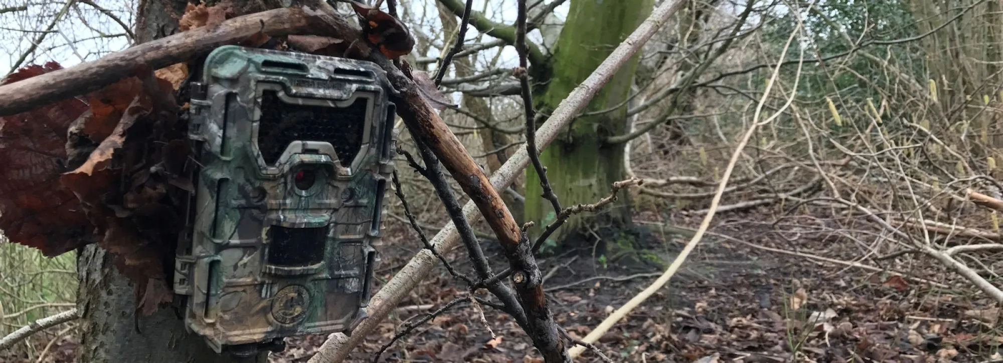 Wildcamera's voor ecologisch onderzoek