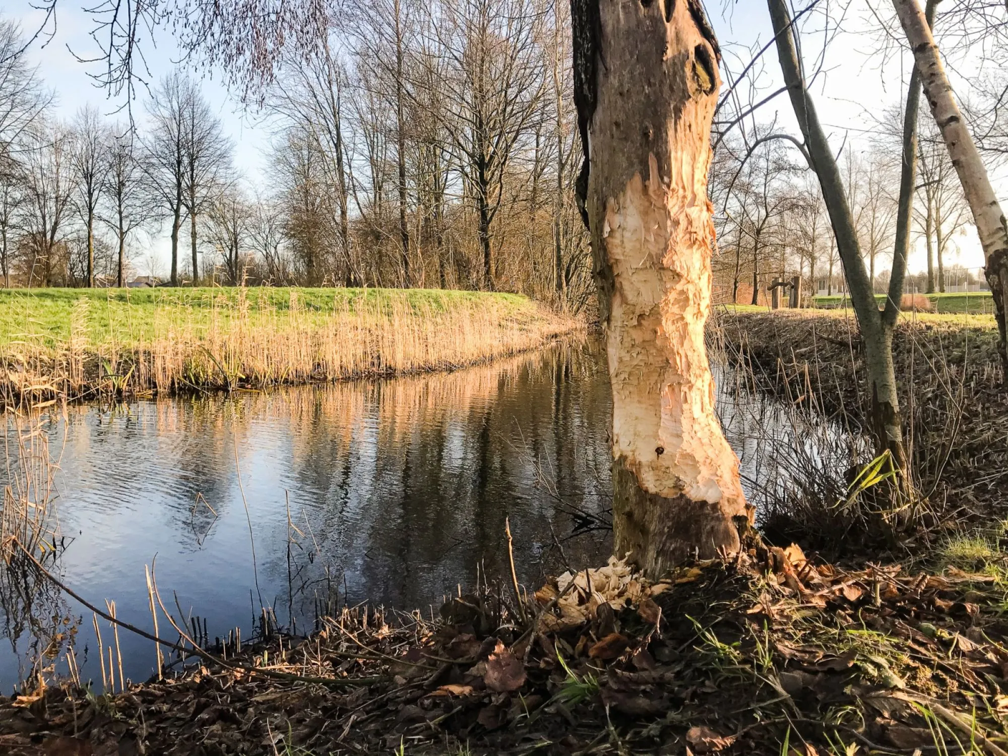 Bijzondere natuur in Zeewolde